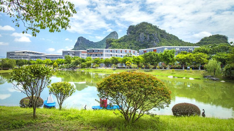 揭秘中国电子加工企业排名背后的秘密