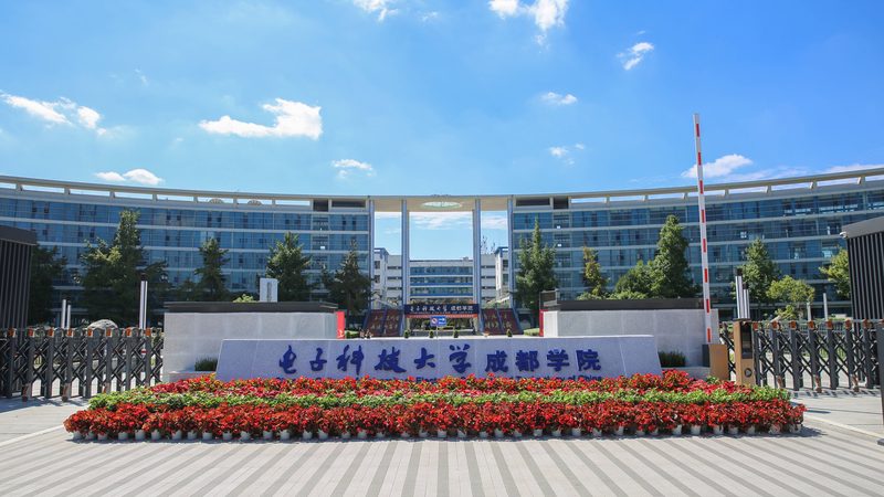二极管整流桥接线图解：电路设计中的关键组件