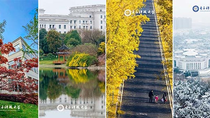 BGA钢网开口尺寸：标准解析与关键考量